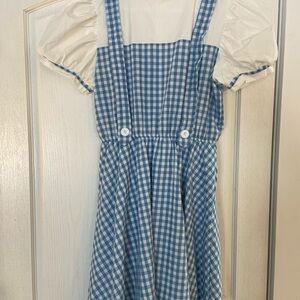 Adult Dorothy Costume